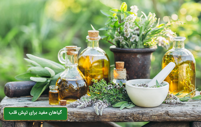 گیاهان مفید برای تپش قلب