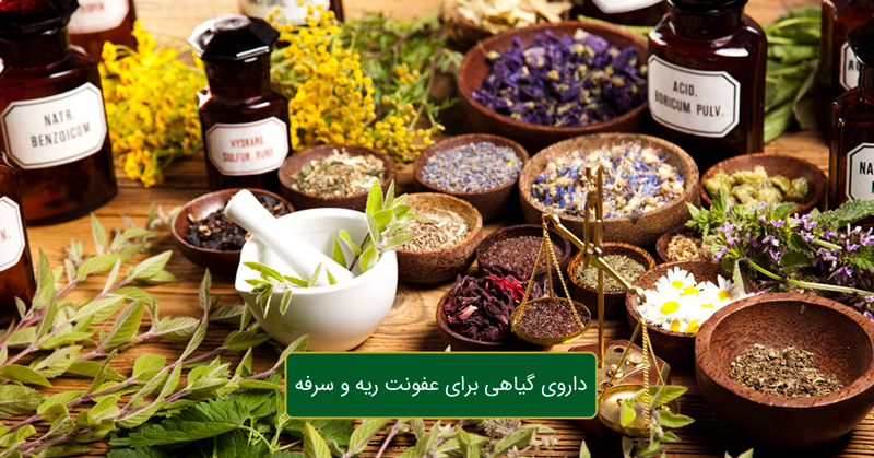 داروی گیاهی برای عفونت ریه و سرفه