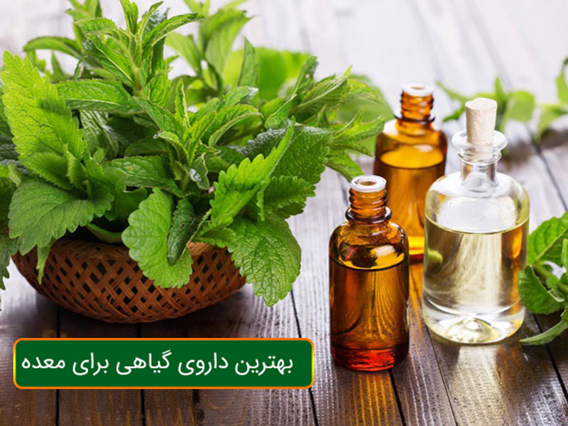 دارو گیاهی برای معده درد