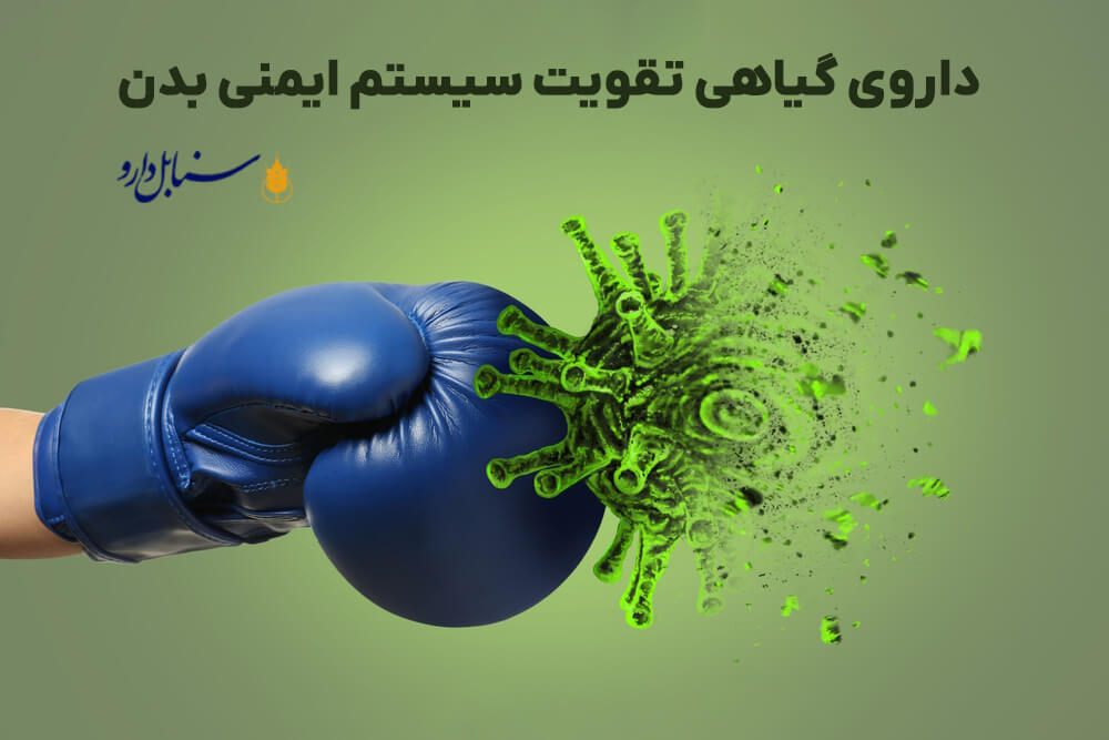 داروی گیاهی برای تقویت سیستم ایمنی بدن