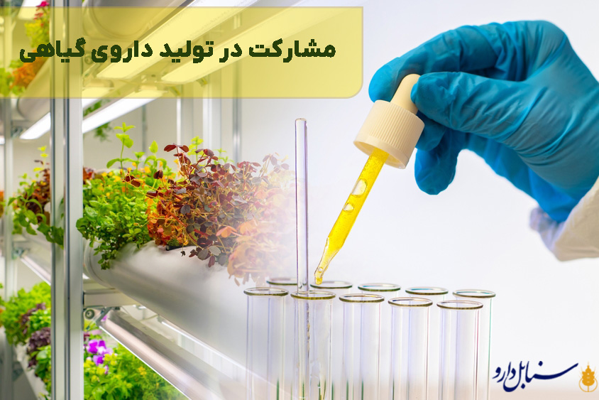 مشارکت در تولید داروی گیاهی