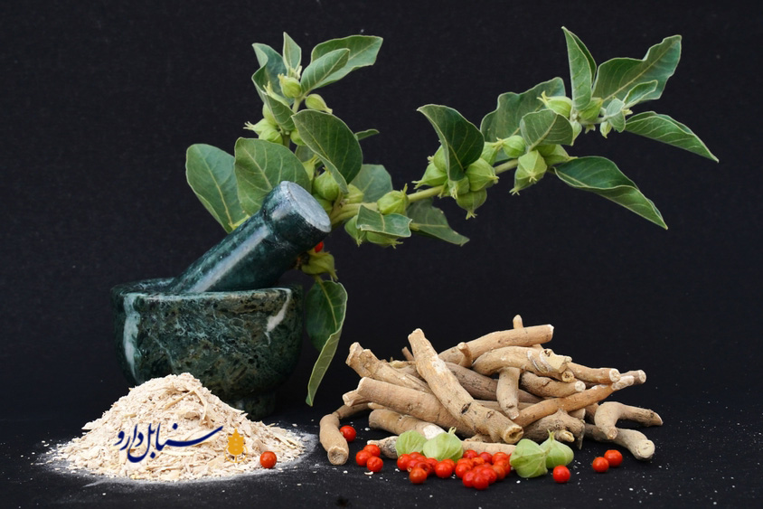 داروی گیاهی خواب آور